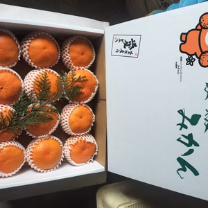 甘平（かんぺい）ギフト用〜プリプリ食感〜化粧箱入り