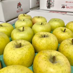 星の金貨＆ぐんま名月　2品種ミックス　秀5キロ