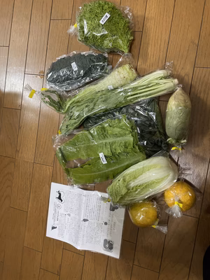 みんなの投稿の画像