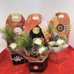 葉牡丹　迎春クラフトBOX　六花（りっか）3種類セット