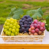 W3M-1　岡山　花笑み農園の訳あり『ブドウ3種以上MIX』1kg