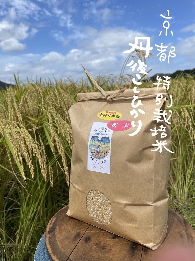 【定期便】玄米新米R5年産　特別栽培米　京都丹後こしひかり　５K～