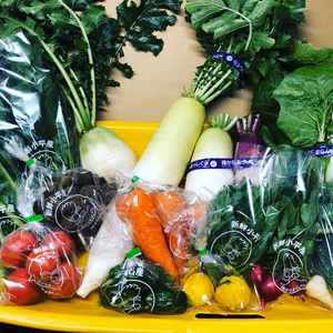 【数量限定】年末野菜仕送りセット