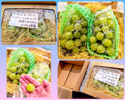 みんなの投稿の画像