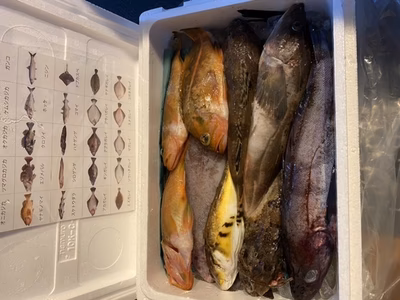 みんなの投稿の画像