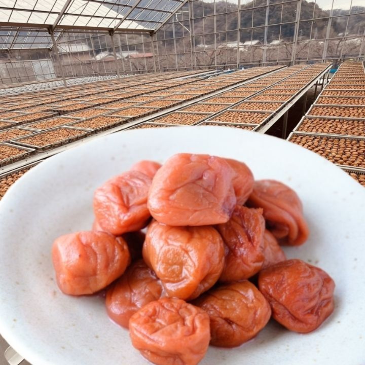 1kg 農家直送 紀州南高梅 梅 無添加 和歌山 紀州 白梅 白干し