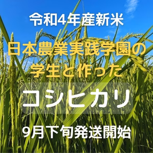 【令和4年産】【新米】農業の学生と作った太陽の恵みコシヒカリ　白米無洗米分搗き可