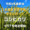 【令和4年産】【新米】農業の学生と作った太陽の恵みコシヒカリ　白米無洗米分搗き可