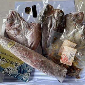 【夏ギフト】ヤリイカ姿1杯入り、海の幸セット