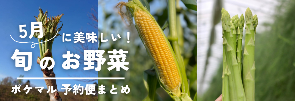 5月に旬の野菜