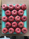 【蜜入り保証なし】サンふじ 完熟りんご 15kg