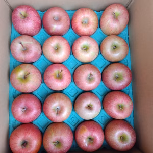 秋田より本当の加工用　ふじジュース用りんご10キロ　46玉から36玉