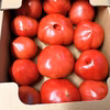 ファーストトマト２キロ＋わけありトマト２キロ‼︎セット
