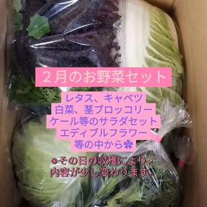 2月のお野菜セット(^^)