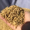 令和3年　新米❗️合鴨米【白米1kg】栽培期間中農薬不使用　ヒノヒカリ