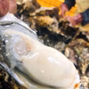 1月発送【1年いつもの】わたゆき牡蠣　生もレアも　真冬のサロマ湖より