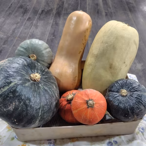 かぼちゃセット（無農薬栽培）北海道富良野産