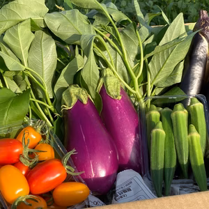 今が食べ頃！農家”イチ推し″旬の野菜セット♪