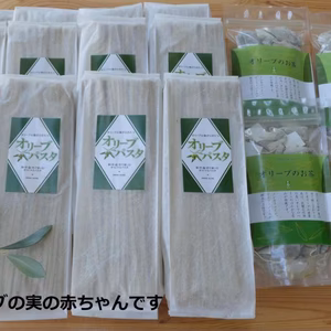 『オリーブパスタ12束＋オリーブのお茶4袋』セット（訳あってお買得）