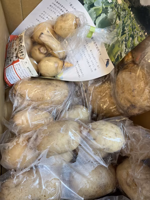 みんなの投稿の画像