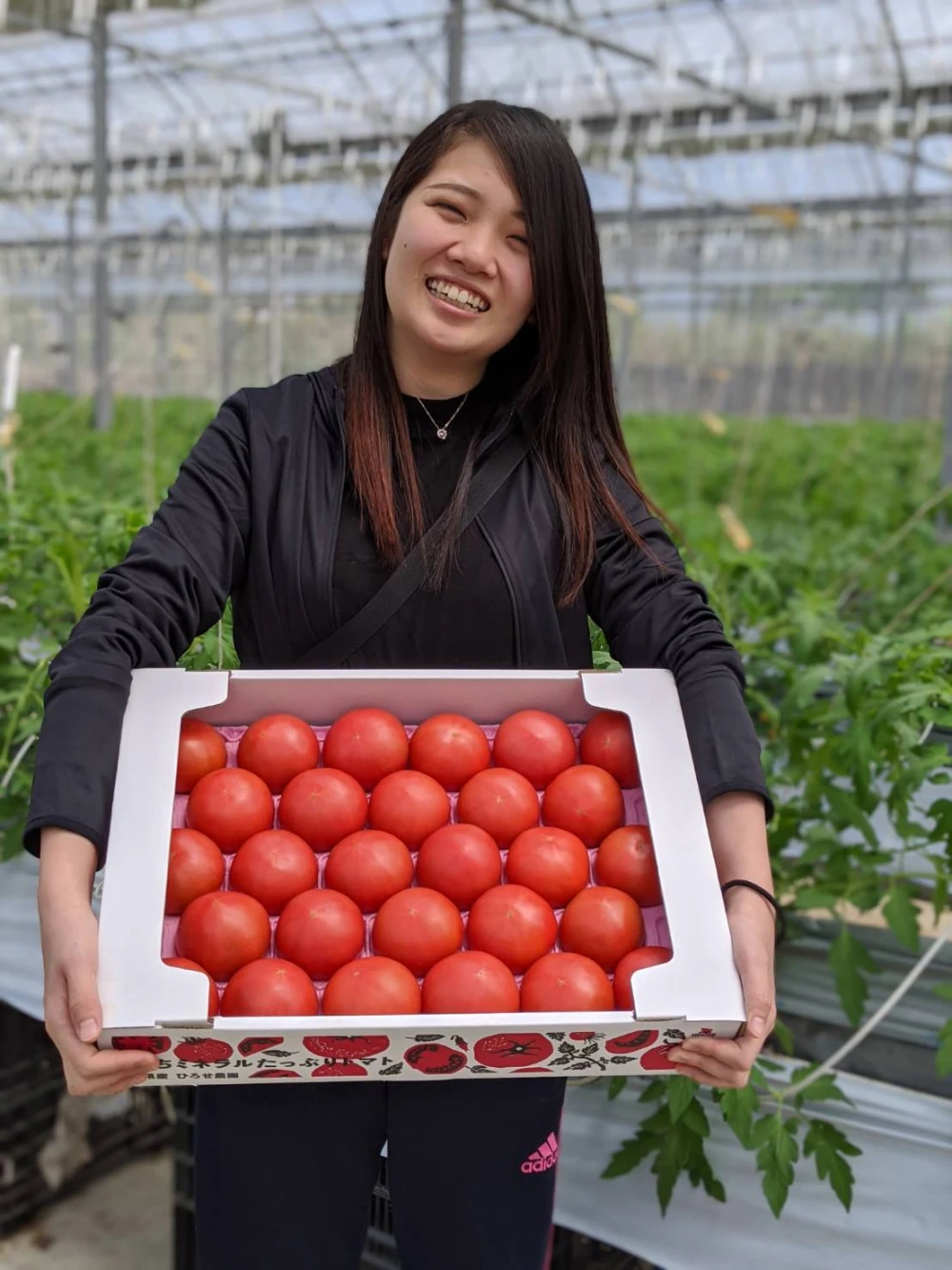 【お得な定期便♪】トマト大好き！大玉トマト4㎏箱