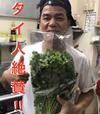 たけおパクチー【青空レストラン登場】パクチー好きに!匂いしっかりパクチー