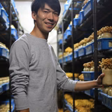 武藤洋平 | 東和季の子工房