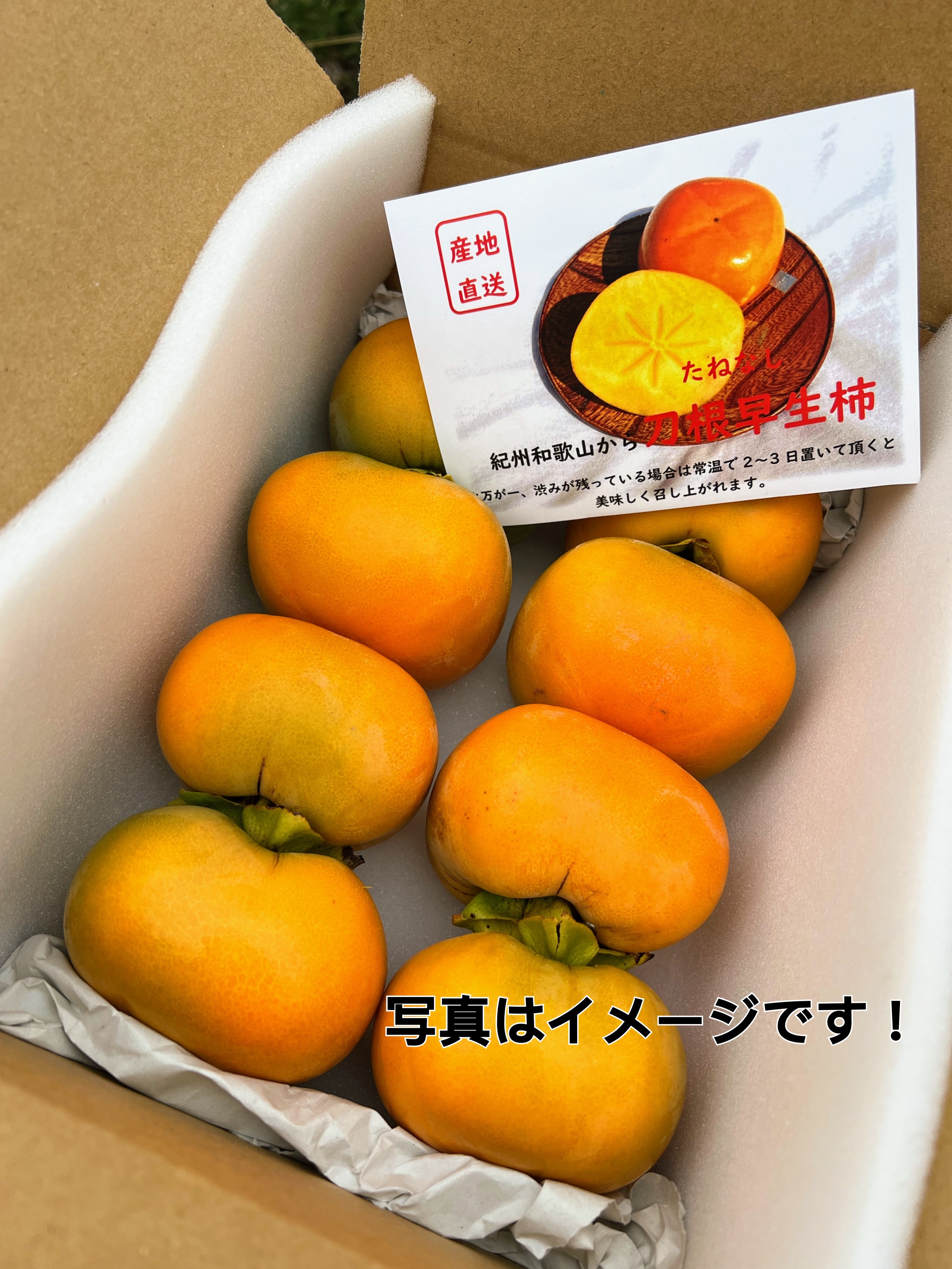 3感謝☆柿祭♪和歌山県産たねなし柿(刀根早生)5kg箱