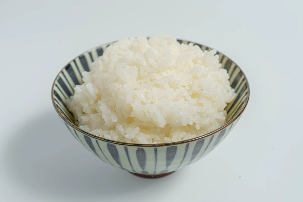 新米‼令和5年産ふゆみずたんぼ米ササニシキ（白米）5kg