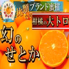 【注目度№1柑橘の大トロ】人気過ぎて1年待ち『せとか』大容量約3㎏【3月予約】