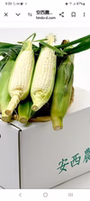 今年もはじまりました！！安西農園の生食出来て甘いトウモロコシ(ピュアホワイト)