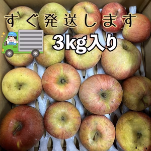 【すぐ配送】ジュースやジャムに（加工用3kg）減農薬栽培