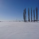 田中陽平 | 田中農場