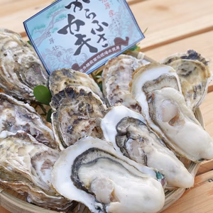 【数量限定】唐津・漁師直送！ からふさ牡蠣