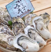 【数量限定】唐津・漁師直送！ からふさ牡蠣 