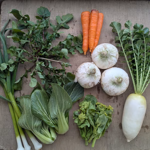 冷蔵便【3月のお試しBOX】渥美半島から旬と彩りの野菜セット