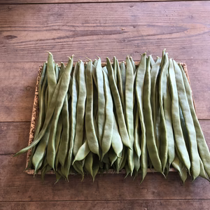 スジなし ジャンボいんげん