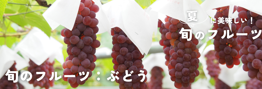夏に旬のフルーツ ぶどう