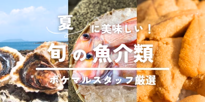 夏に美味しい旬の魚介類 予約・購入も