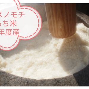 もち米☆新米ヒメノモチ☆５キロ