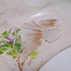 【天然モノ】旬の味をギュッと凝縮！お刺身鮮度の冷凍真鯛(500g×2パック)