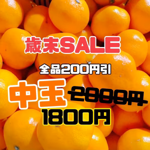 中玉【歳末SALE】在庫限り旨い！安い！甘い！食べてみて熊本みかん