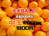中玉【歳末SALE】在庫限り旨い！安い！甘い！食べてみて熊本みかん