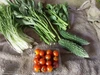 季節の野菜BOX（5品）