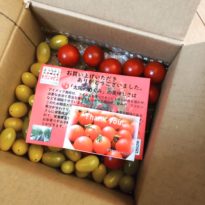 みんなの投稿の画像