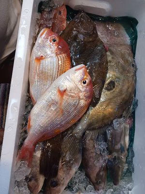 みんなの投稿の画像