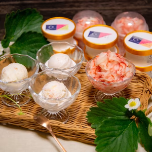 いちご農家の【けずりいちごといちごジェラート】アソートセット