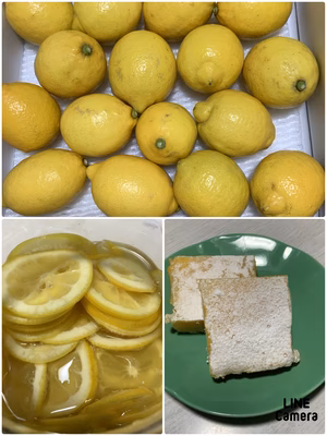 みんなの投稿の画像