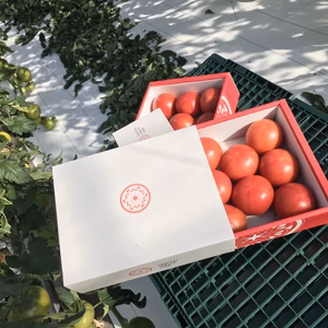 糖度9.５❗️プレミアムトマト、まとめて3ケース‼️