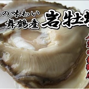 『海のミルク』舞鶴産　生食用岩牡蠣150gUP×8個入り　牡蠣ナイフ軍手付き